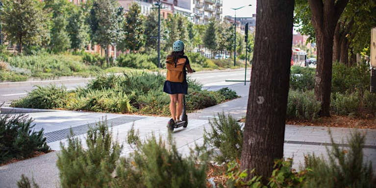 Sols urbains et nature en ville : clés de voûte des villes résilientes